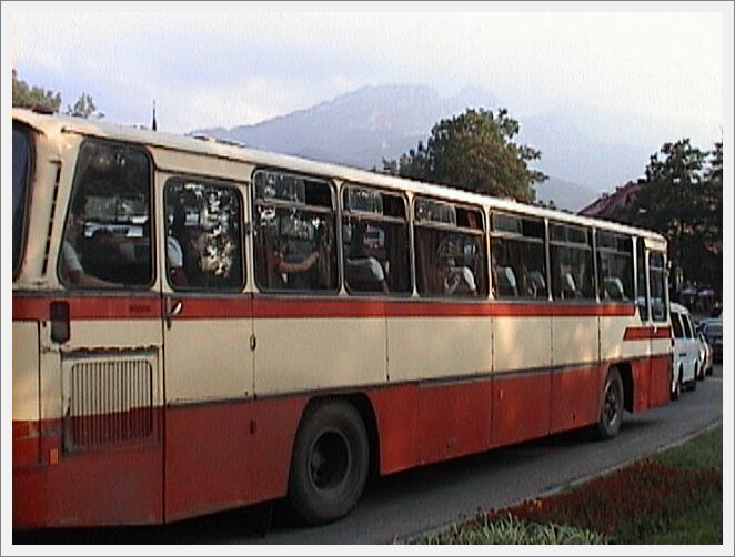 Foto 3451